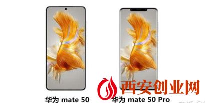 华为mate50和mate50pro区别详解？华为mate50和mate50pro参数对比